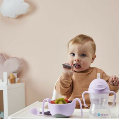 Sippy カップ ジェラートシリーズ(240ml) ボイセンベリー