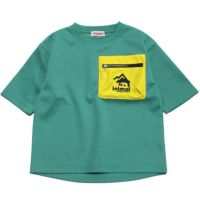 グリーン(40)