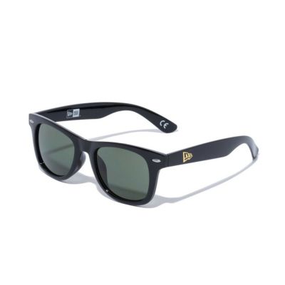 SUNGLASSES WLTN GRAY POLAR 25J（偏光レンズ） グレーポラライズドレンズ