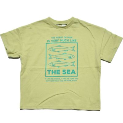 クールタッチフィッシュロゴTシャツ ミント