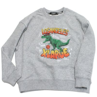 きょうりゅう　エイプ エクストララージキッズ] バスケ恐竜トレーナー TOP・グレー(85