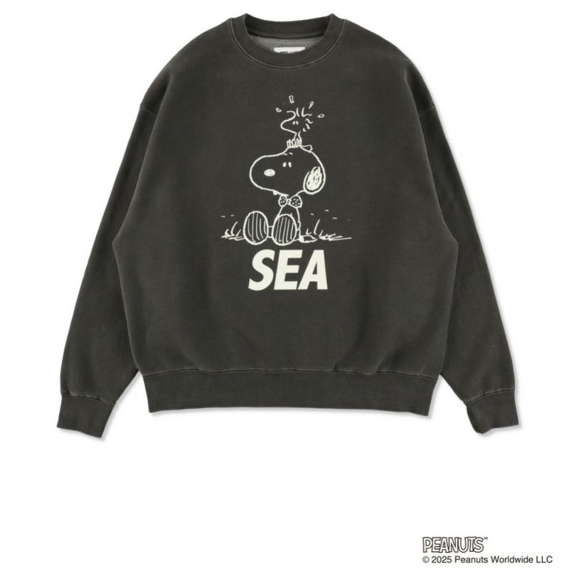 WIND AND SEA SMOOTHY PGT Snoopy Tee WIND AND SEA / SNOOPY サークル